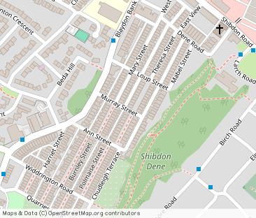 Theresa Street, Blaydon-Upon-Tyne, Gateshead - Photo 1