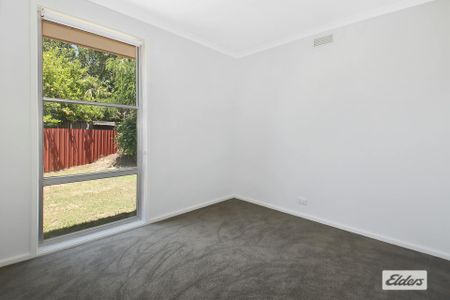 Fully Renovated 3-Bedroom Home with Spacious Yard - Photo 3