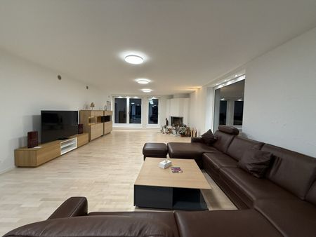 Exclusive 300 m² penthouse apartment with private elevator, access to Wallisellen - Photo 4