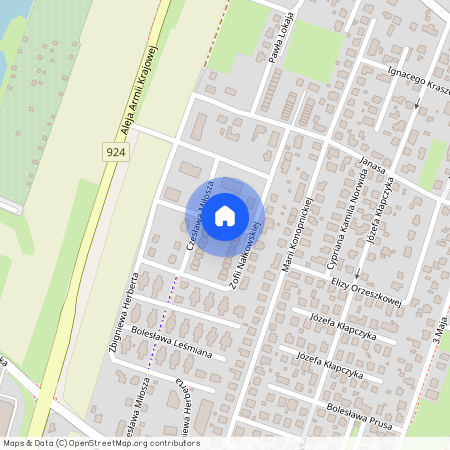 ul. Gustawa Herlinga-Grudzińskiego, Żory, śląskie