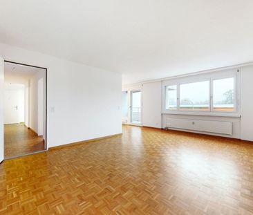 Frisch saniert: Grosszügige Wohnung bei der Limmat! - Foto 4