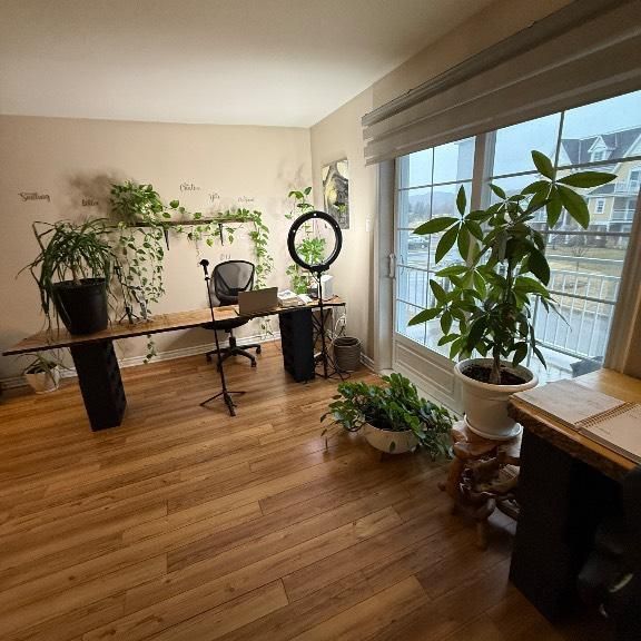 Beau 4 1/2 de style condo - Photo 1