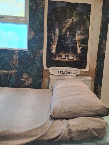Room in a Shared House, Frant Road, CR7 - Photo 3