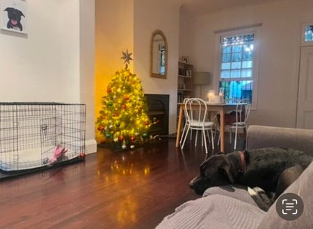 Bondi Junction - Photo 2