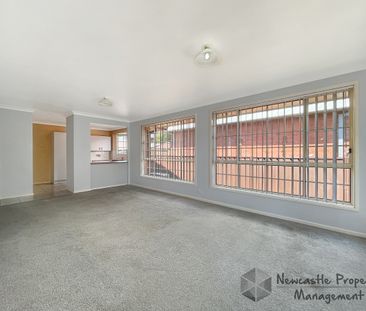 1/3 Teramby Road, Hamilton - Photo 5