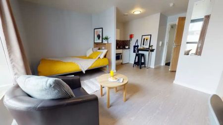 Gold Studio Plus - Photo 5