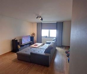 1 bedroom - Foto 4