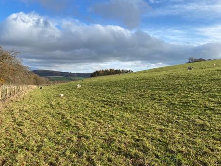 3 bedroom cottage to rent - Photo 4