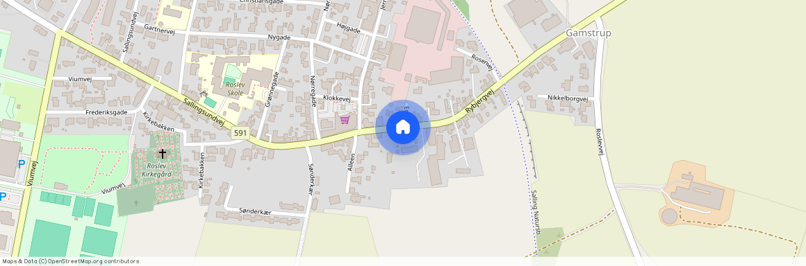 Rybjergvej 14 A st., 7870, Roslev