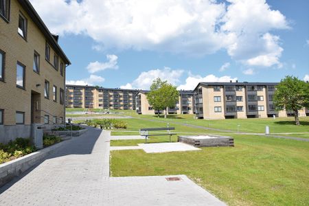 Afd. 6 Bjellerupparken - Photo 4