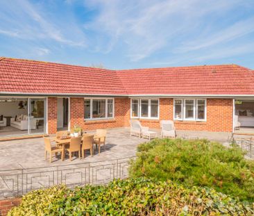 Lifestyle Property in Central Auckland - Photo 2