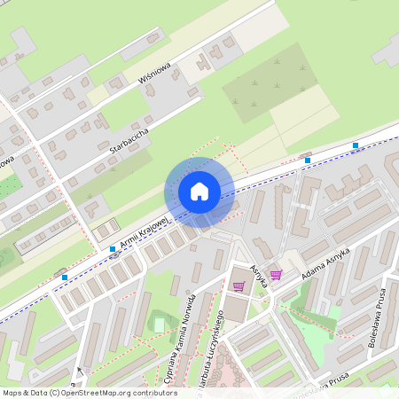 ul. Armii Krajowej, Skierniewice, łódzkie