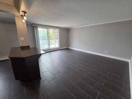 1 Bed & 1 Bath Apartment Style Property in Downtown Area - Photo 3