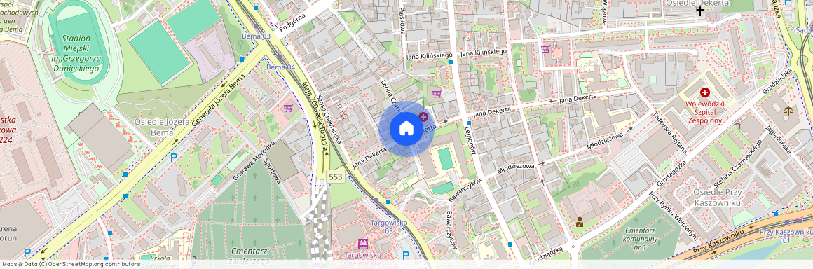 ul. Leona Czarlińskiego, Chełmińskie Przedmieście, Toruń, kujawsko-pomorskie