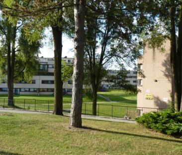 Northwood Village - Photo 2