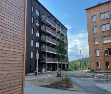 Fru Lovisas Gata, Skellefteå - Photo 3