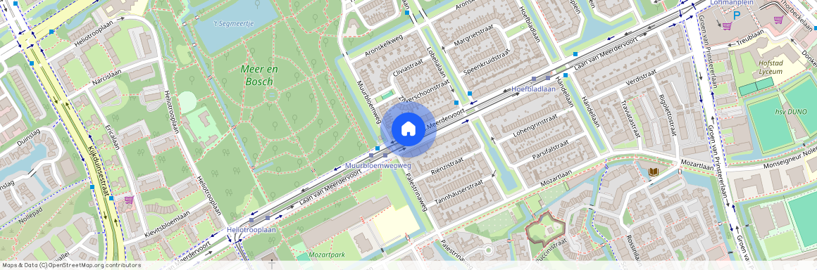 Bohemen en Meer en Bos, 2555 BR, Den Haag