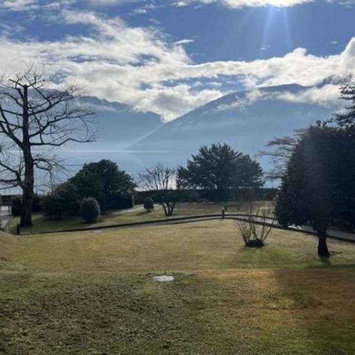 Charming 2.5-room apartment with lake view in Melide - Foto 2