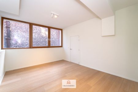 Prachtige triplex in hartje Gent - Foto 2