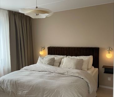 Gaffelseglet, Vega - Photo 1