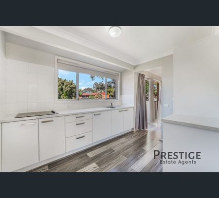 6 Muscat Place, Eschol Park, NSW 2558 - Photo 4
