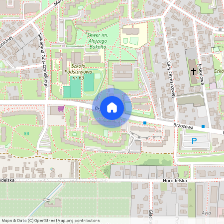 ul. Brzozowa, Szwederowo, Bydgoszcz, kujawsko-pomorskie