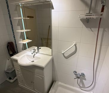 Location Appartement 1 pièce 28m² THIONVILLE 57100 - Photo 3