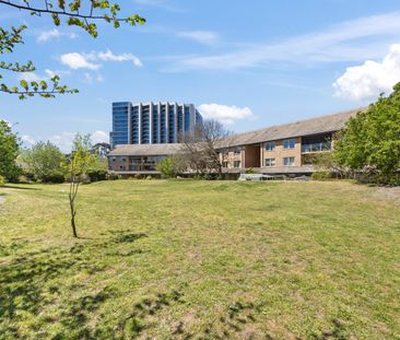 58/179 Melrose Drive, Lyons ACT 2606 - Apartment For Rent | Domain - Photo 4