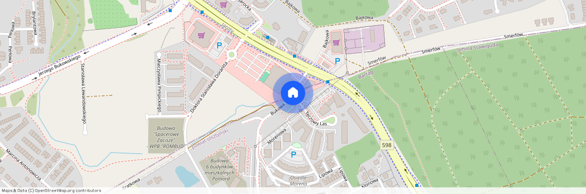 TECZOWY LAS, Śródmieście, Olsztyn, warmińsko-mazurskie