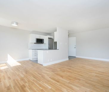25 Eccleston Drive - Photo 6