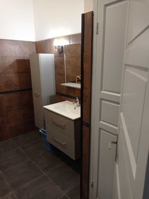 Location Appartement 1 pièce 45m² ST PAUL 97434 - Photo 1