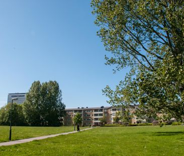 Segevångsgatan, Malmö - Foto 1