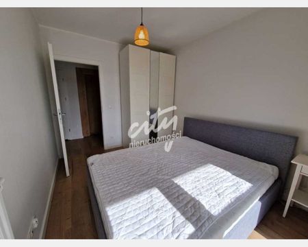 Szczecin - Zdjęcie 5