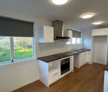 Renovated 3B Home, Big Section, Walk to Shops - Photo 5