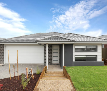 11 Duloe Rise, Melton South VIC 3338 - House For Rent | Domain - Photo 4