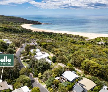 Captivating Beachside Home - a short stroll to Putty Beach - Photo 6