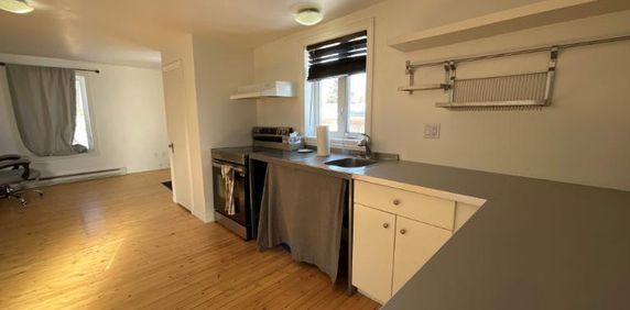 1 CH - 1 SDB - Lévis - $925 /mo - Photo 2