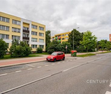 Pronájem bytu 1+1, 41 m - Photo 3