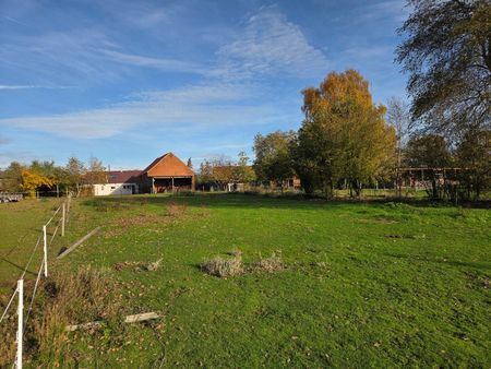 Woning met 3 slpks, schuur met 3 stallen en weiland op 2.288 m² nabij Geel-centrum ! - Foto 5