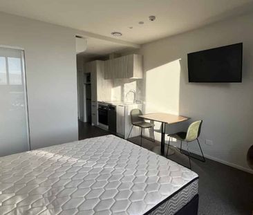 Sunny, Studio, Furnished - Photo 3