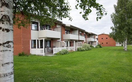 Byalagsgatan, Kåge - Photo 3