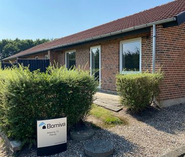 Pilevej 116, Glyngøre, 7870, Roslev - Foto 5