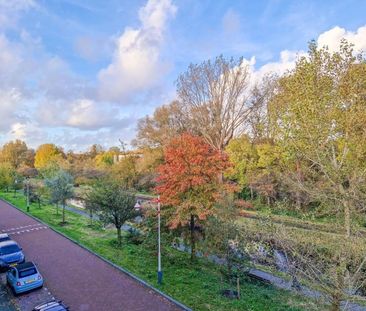 Carel Reinierszkade 189, Den Haag - Photo 5