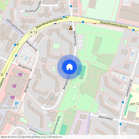 Bergenring 28, 24109, Kiel Ot Mettenhof