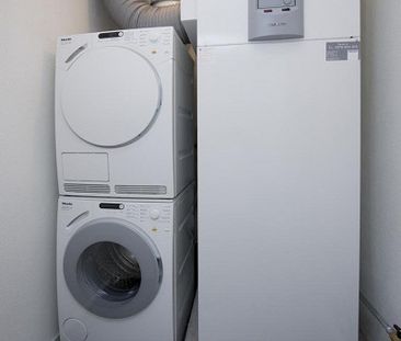 3, 2, 1, meins! - Photo 4