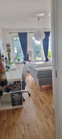 Skillingmyntsgatan, Göteborg - Foto 3