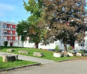 Location Appartement à ST BUEIL - Photo 5