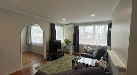 Great Family Home in Levin - Photo 2