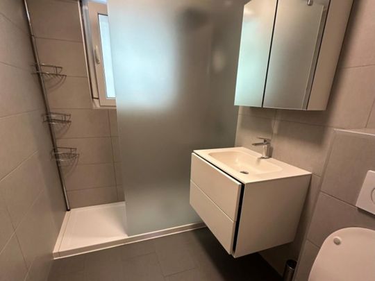 Rte de Morgins 48, 1870 MONTHEY - Photo 1