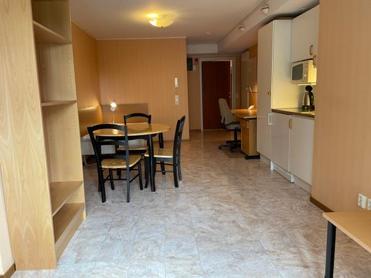 Möblerad 1:a i Centrum - Foto 1